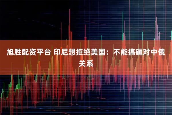 旭胜配资平台 印尼想拒绝美国:不能搞砸对中俄关系