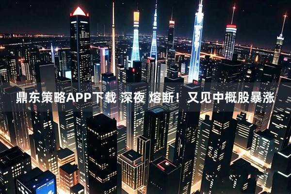 鼎东策略APP下载 深夜 熔断!又见中概股暴涨